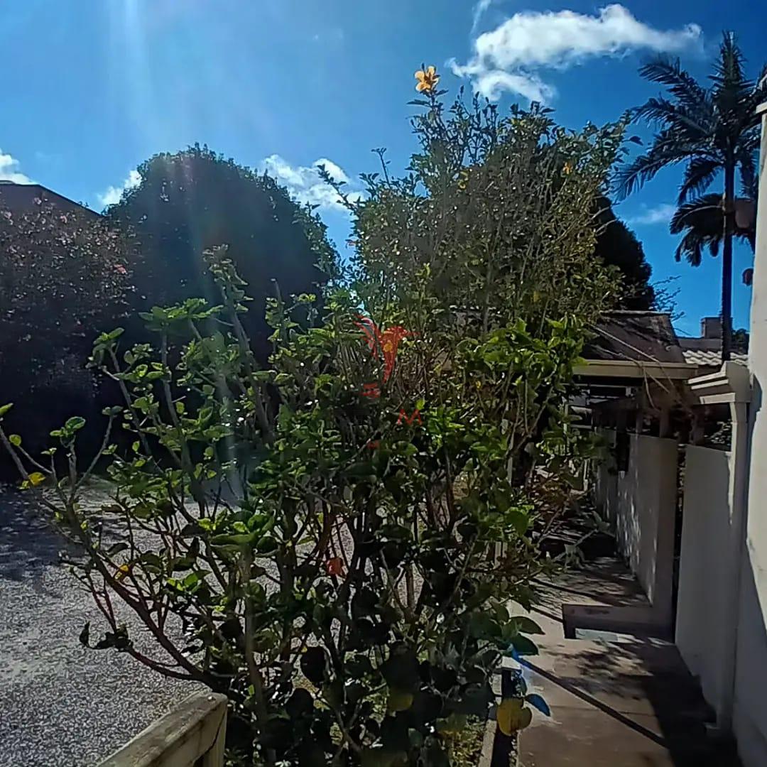 Terreno, 569 m² - Foto 6