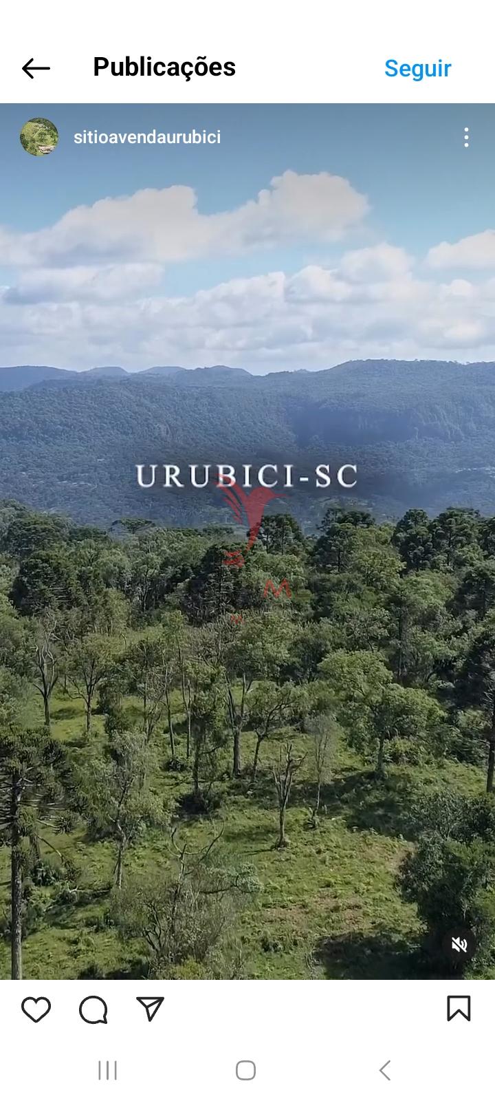 Sítio, 38 hectares - Foto 15