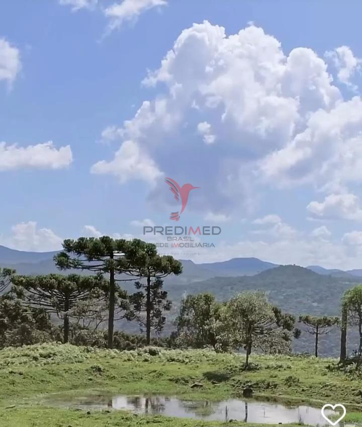 Sítio, 38 hectares - Foto 6