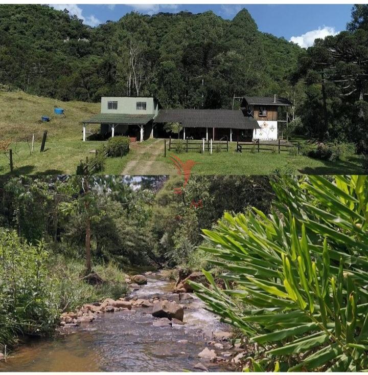 Sítio, 38 hectares - Foto 7