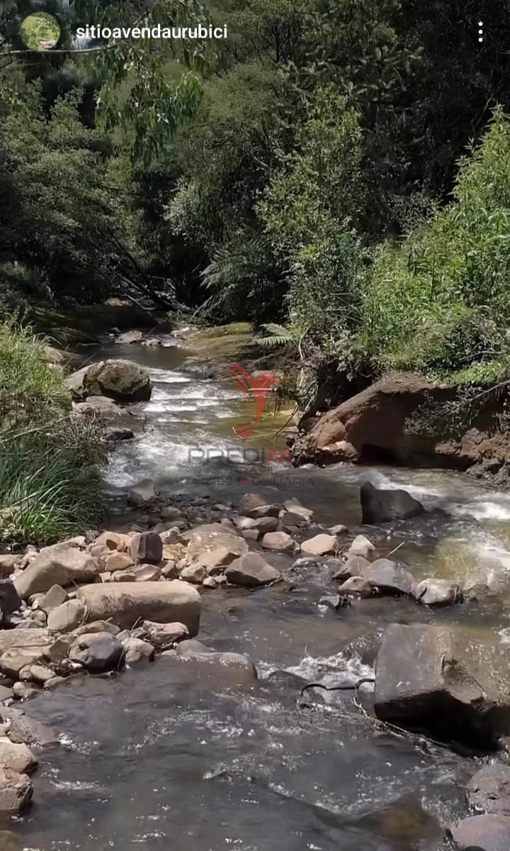 Sítio, 38 hectares - Foto 3