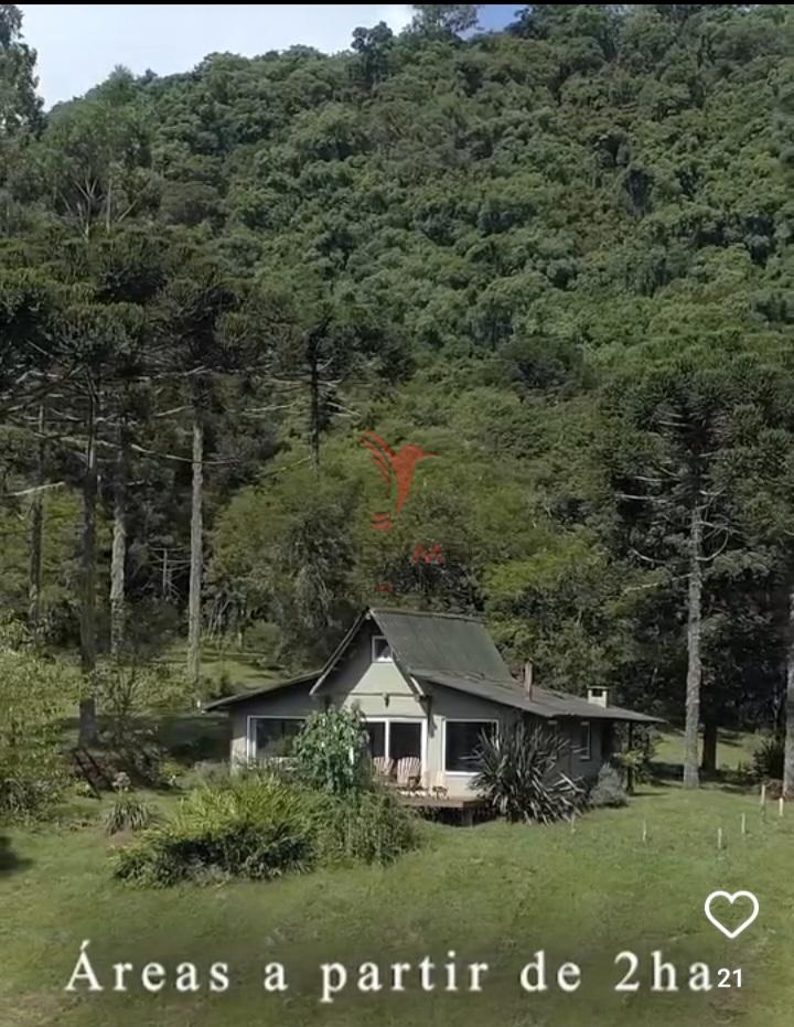 Sítio, 38 hectares - Foto 10