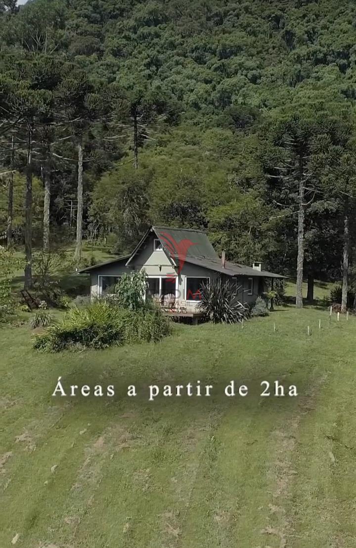 Sítio, 38 hectares - Foto 13