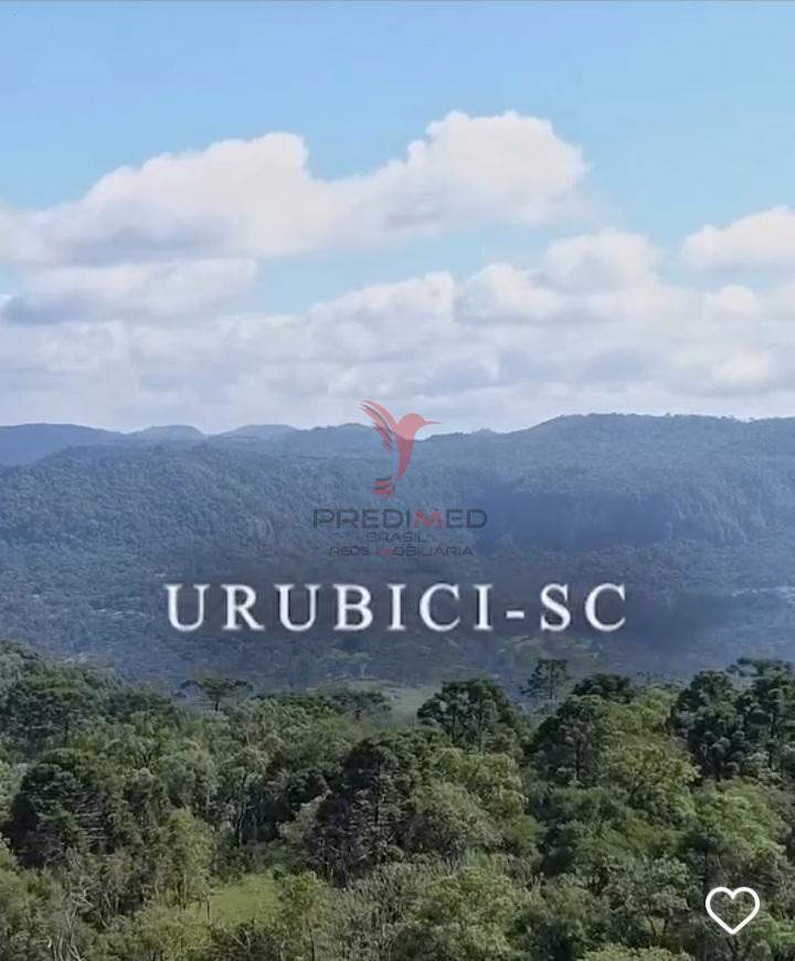 Sítio, 38 hectares - Foto 9