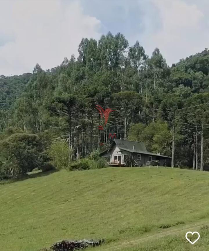 Sítio, 38 hectares - Foto 8