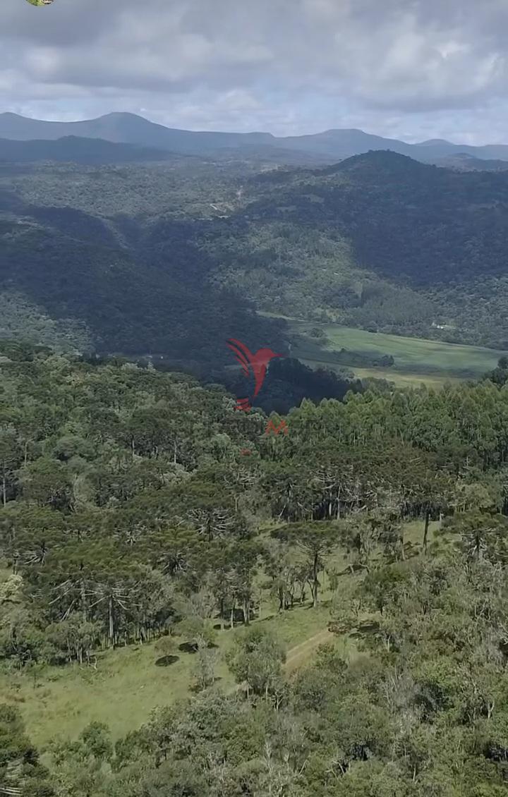 Sítio, 38 hectares - Foto 16