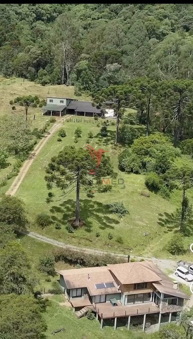 Sítio, 38 hectares - Foto 11