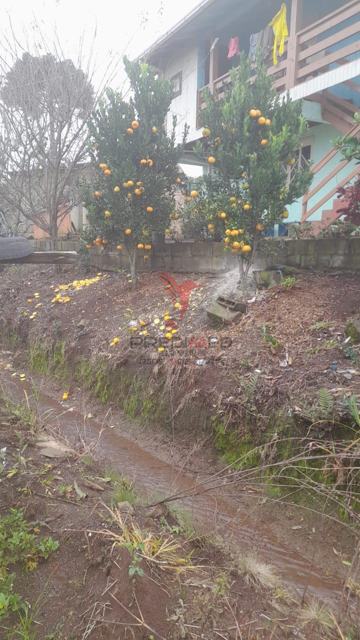 Sítio, 3 quartos, 5 hectares - Foto 8