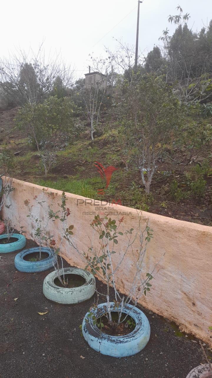 Sítio, 3 quartos, 5 hectares - Foto 2