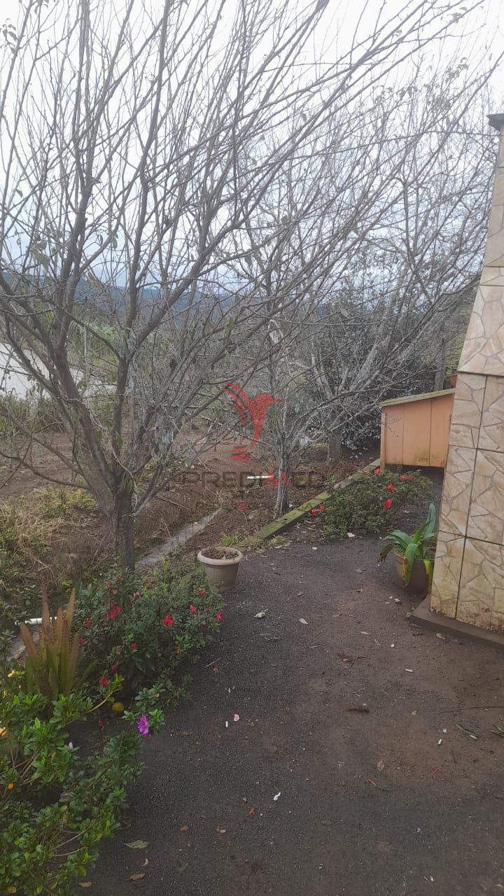 Sítio, 3 quartos, 5 hectares - Foto 10