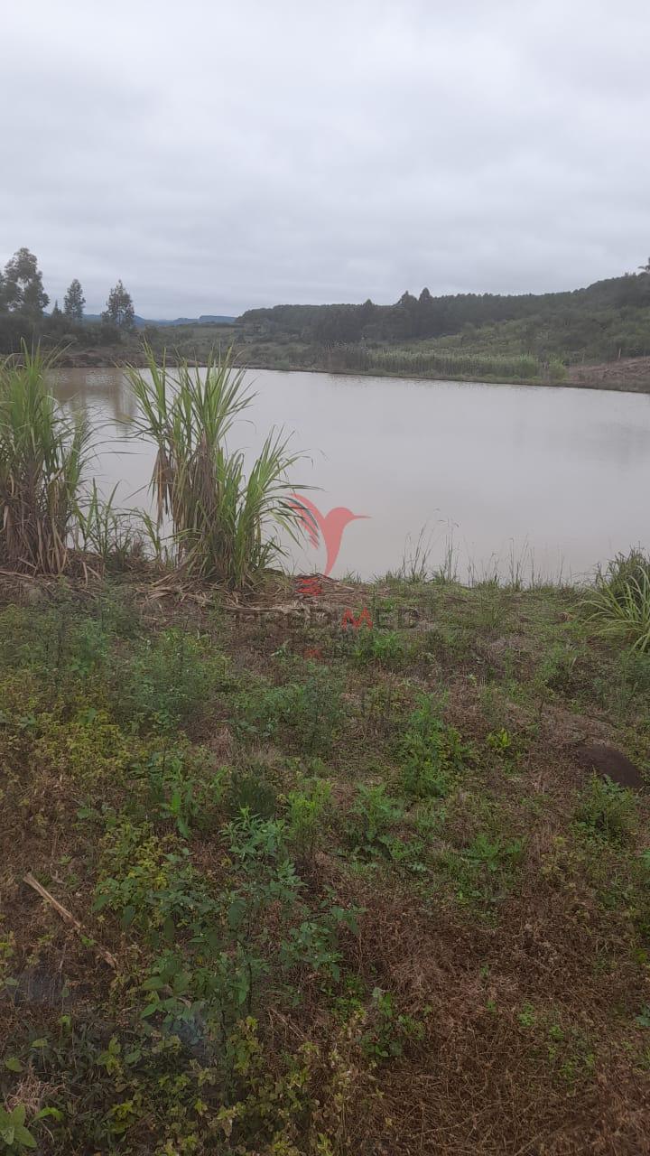 Sítio, 3 quartos, 5 hectares - Foto 1