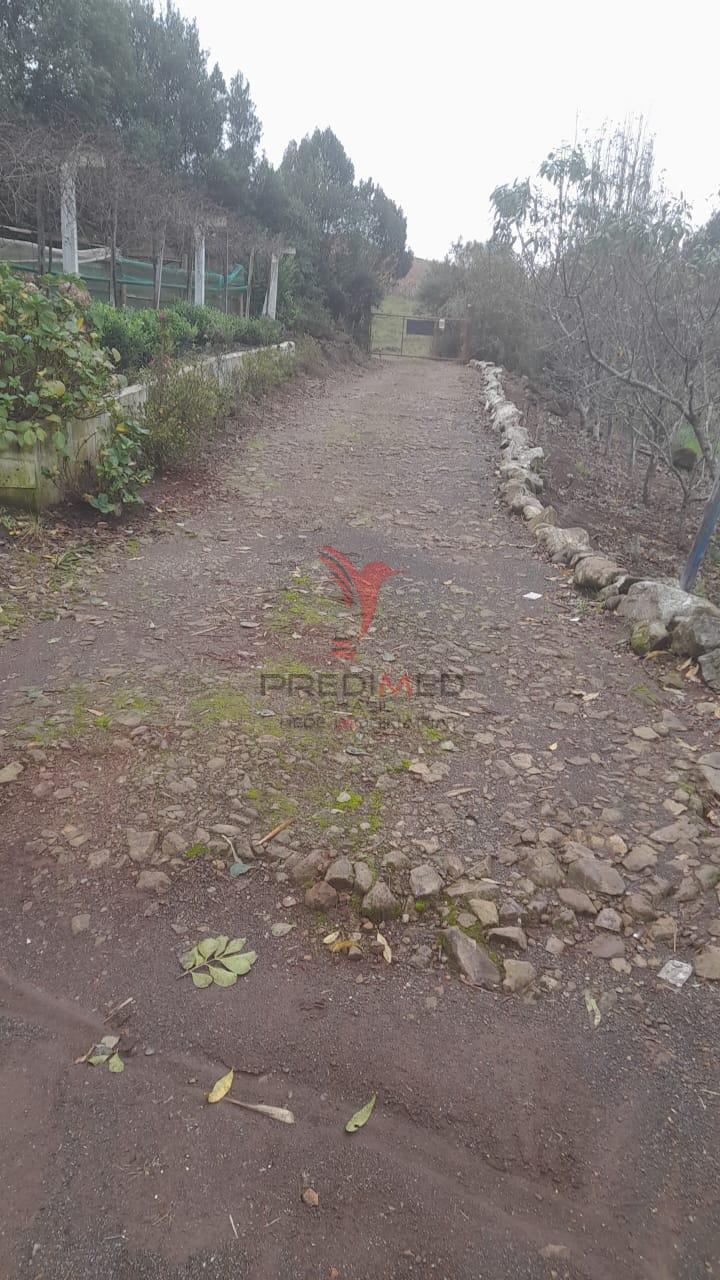 Sítio, 3 quartos, 5 hectares - Foto 4