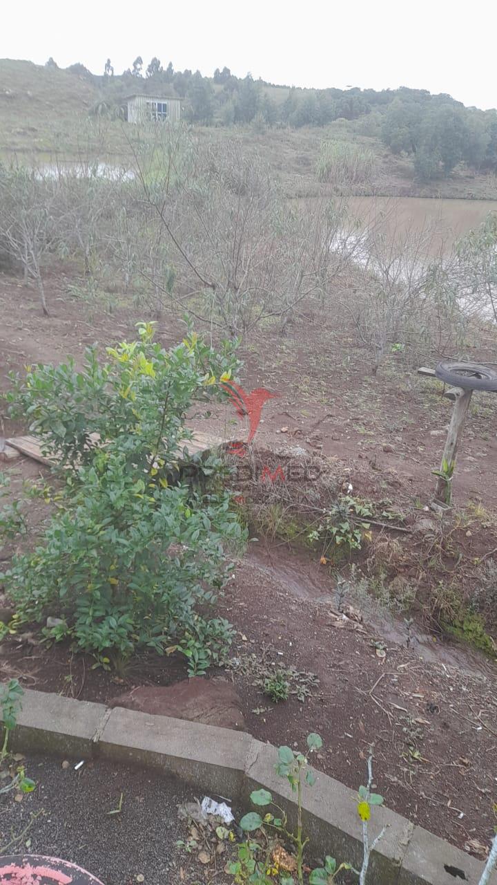 Sítio, 3 quartos, 5 hectares - Foto 5