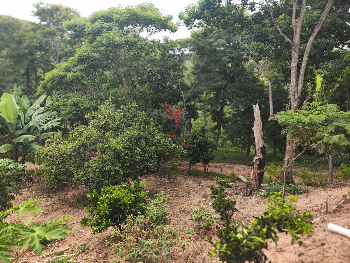 Chácara, 4 quartos, 4 hectares - Foto 34