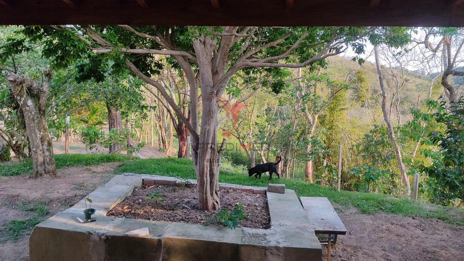 Chácara, 4 quartos, 4 hectares - Foto 31