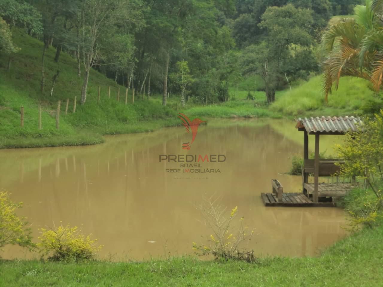 Sítio, 3 quartos, 867 m² - Foto 12