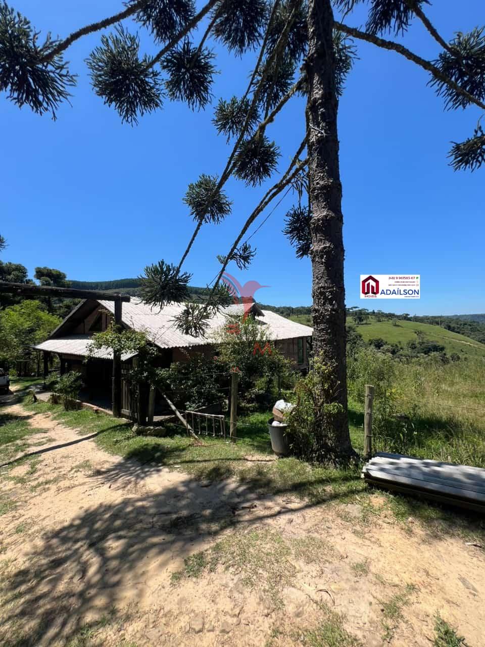 Sítio, 4 quartos, 5600 m² - Foto 4