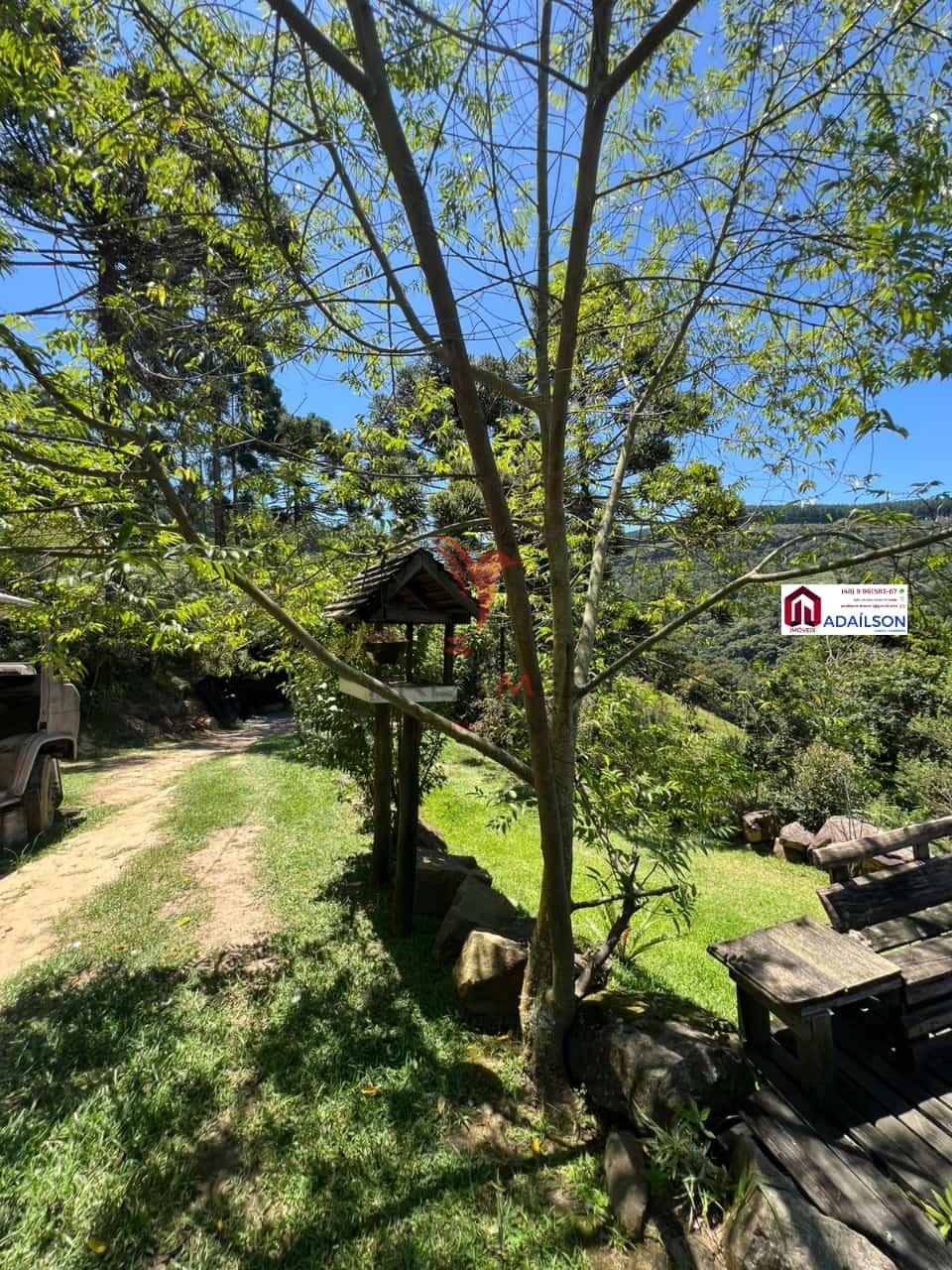 Sítio, 4 quartos, 5600 m² - Foto 5