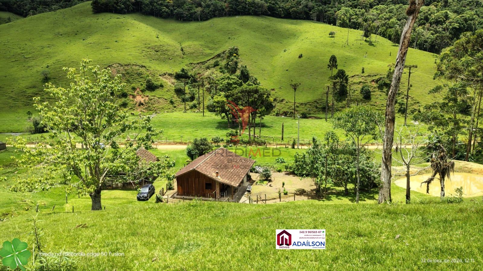 Sítio, 4 quartos, 7 hectares - Foto 2