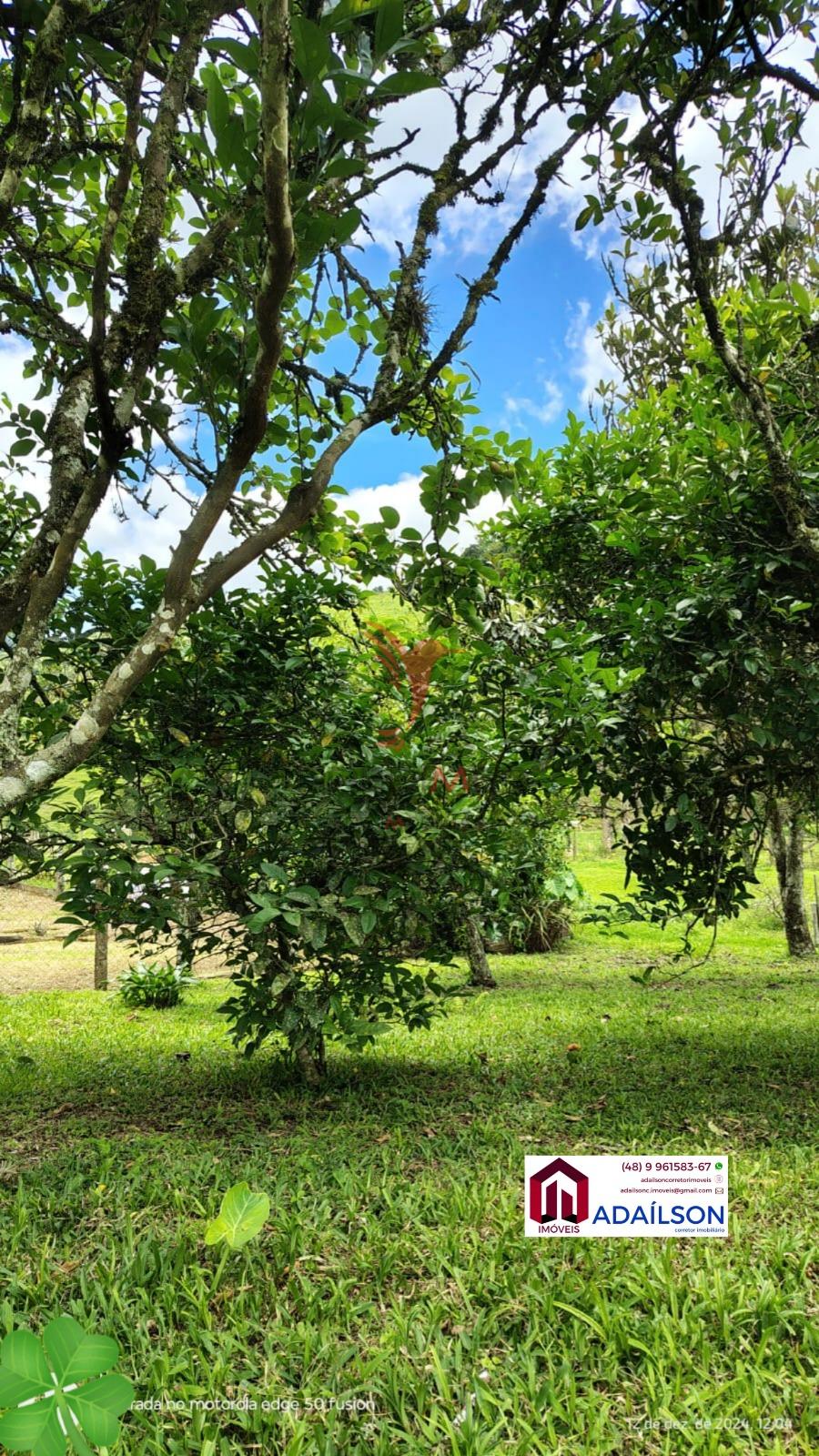 Sítio, 4 quartos, 7 hectares - Foto 13