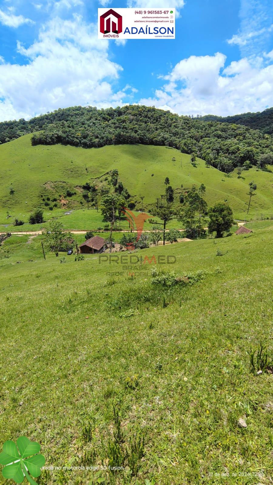 Sítio, 4 quartos, 7 hectares - Foto 11