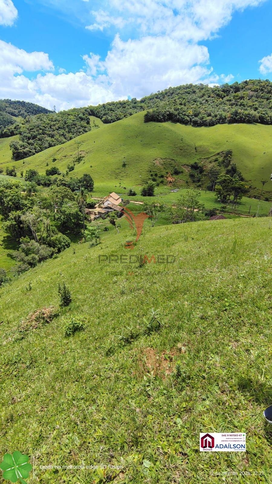 Sítio, 4 quartos, 7 hectares - Foto 14