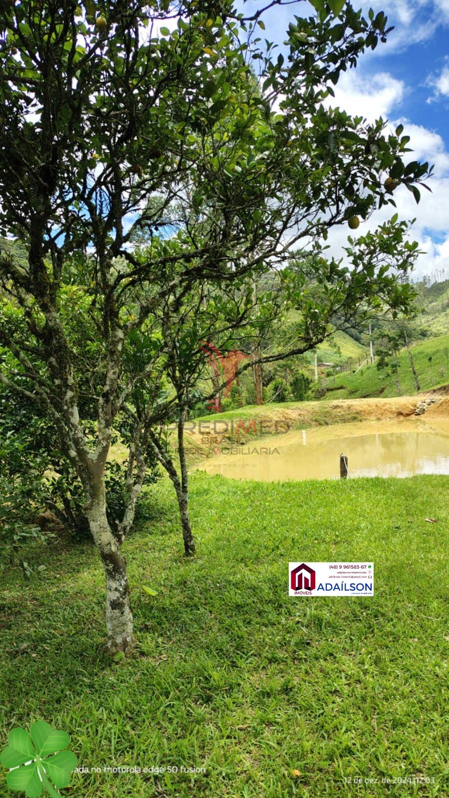 Sítio, 4 quartos, 7 hectares - Foto 8