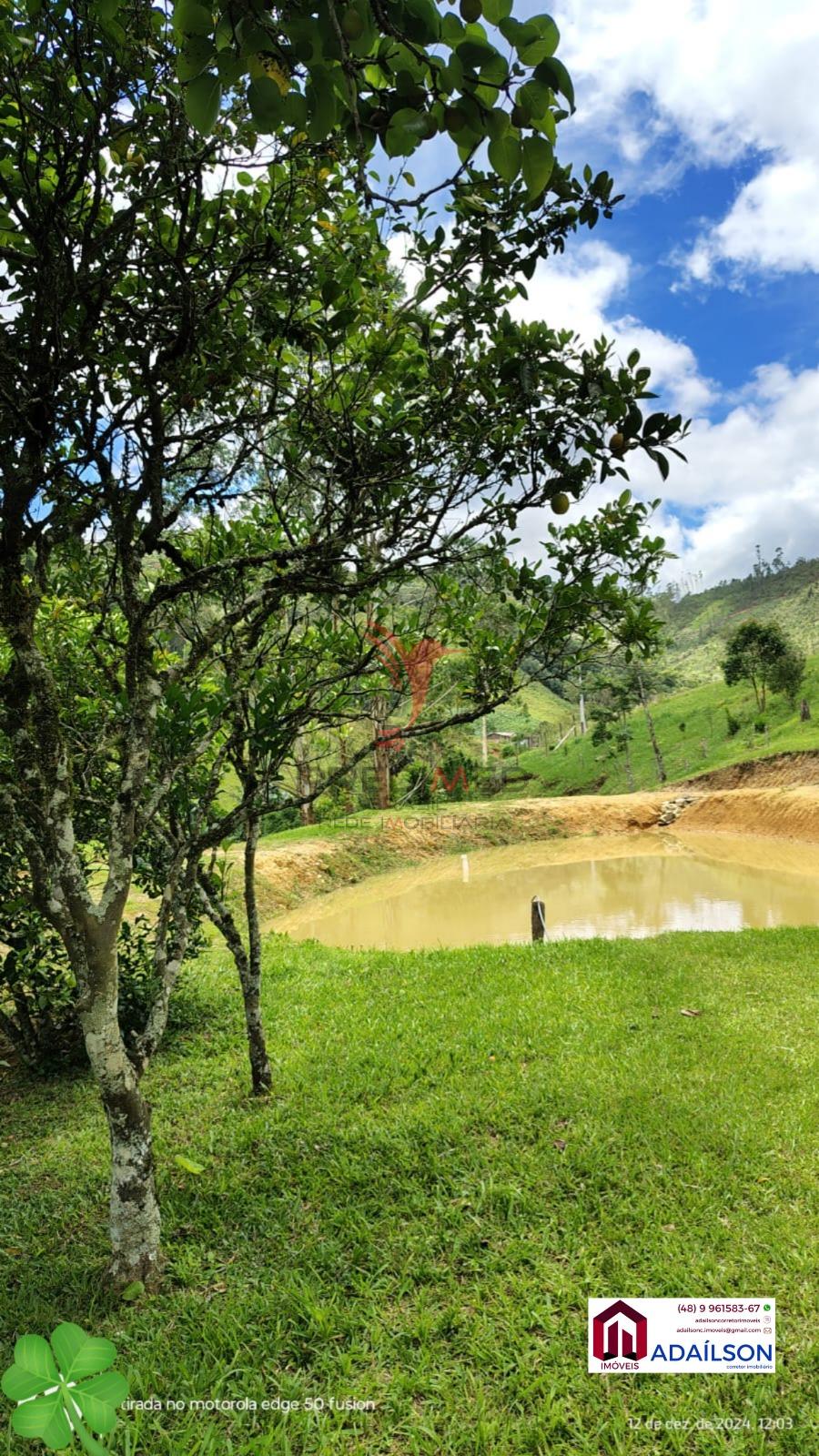 Sítio, 4 quartos, 7 hectares - Foto 7