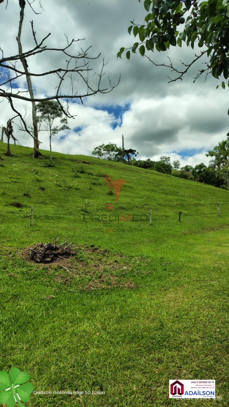 Sítio, 4 quartos, 7 hectares - Foto 15