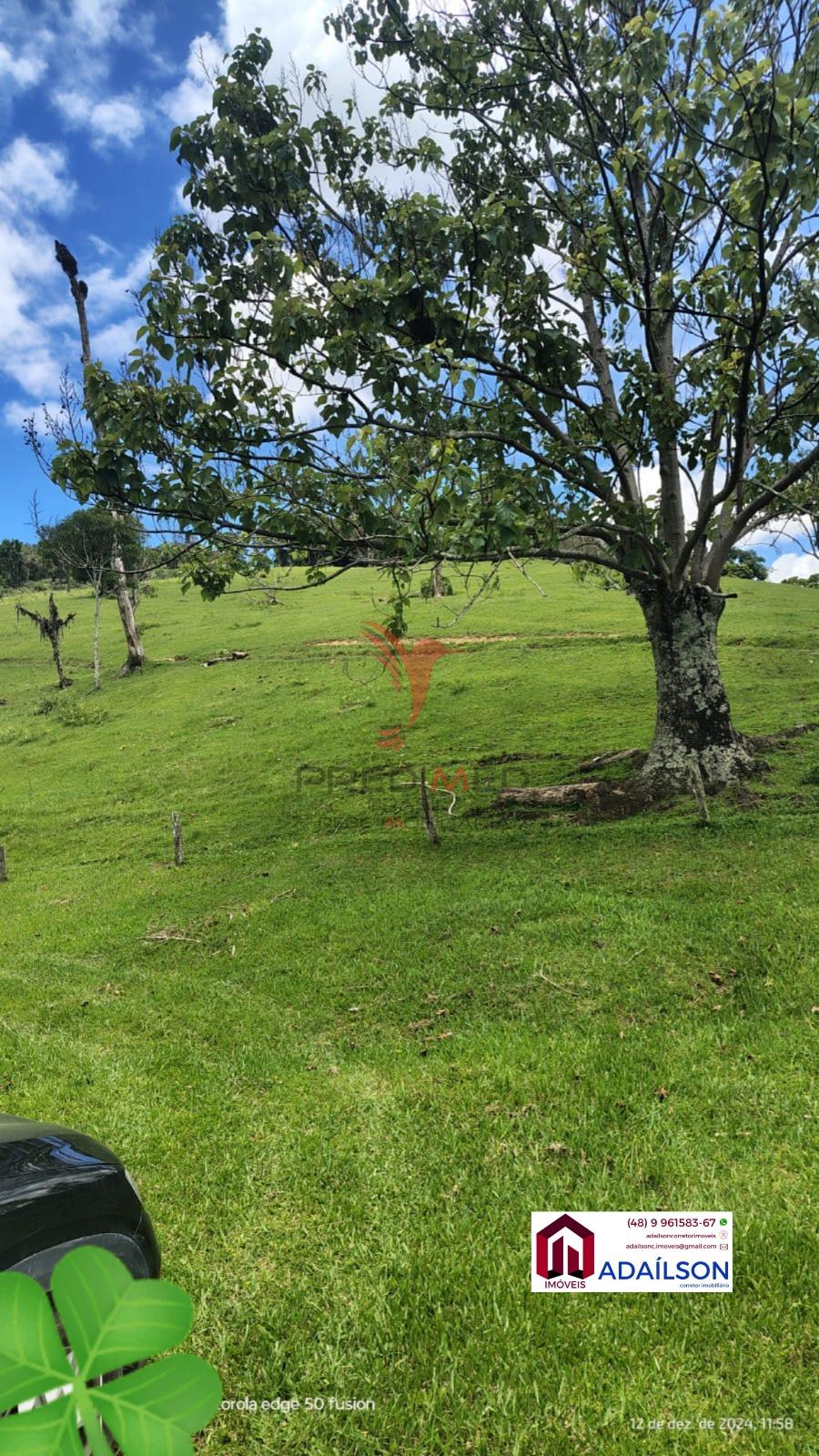 Sítio, 4 quartos, 7 hectares - Foto 12