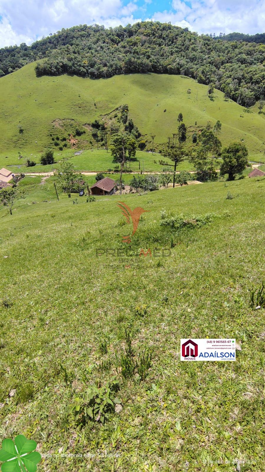 Sítio, 4 quartos, 7 hectares - Foto 9