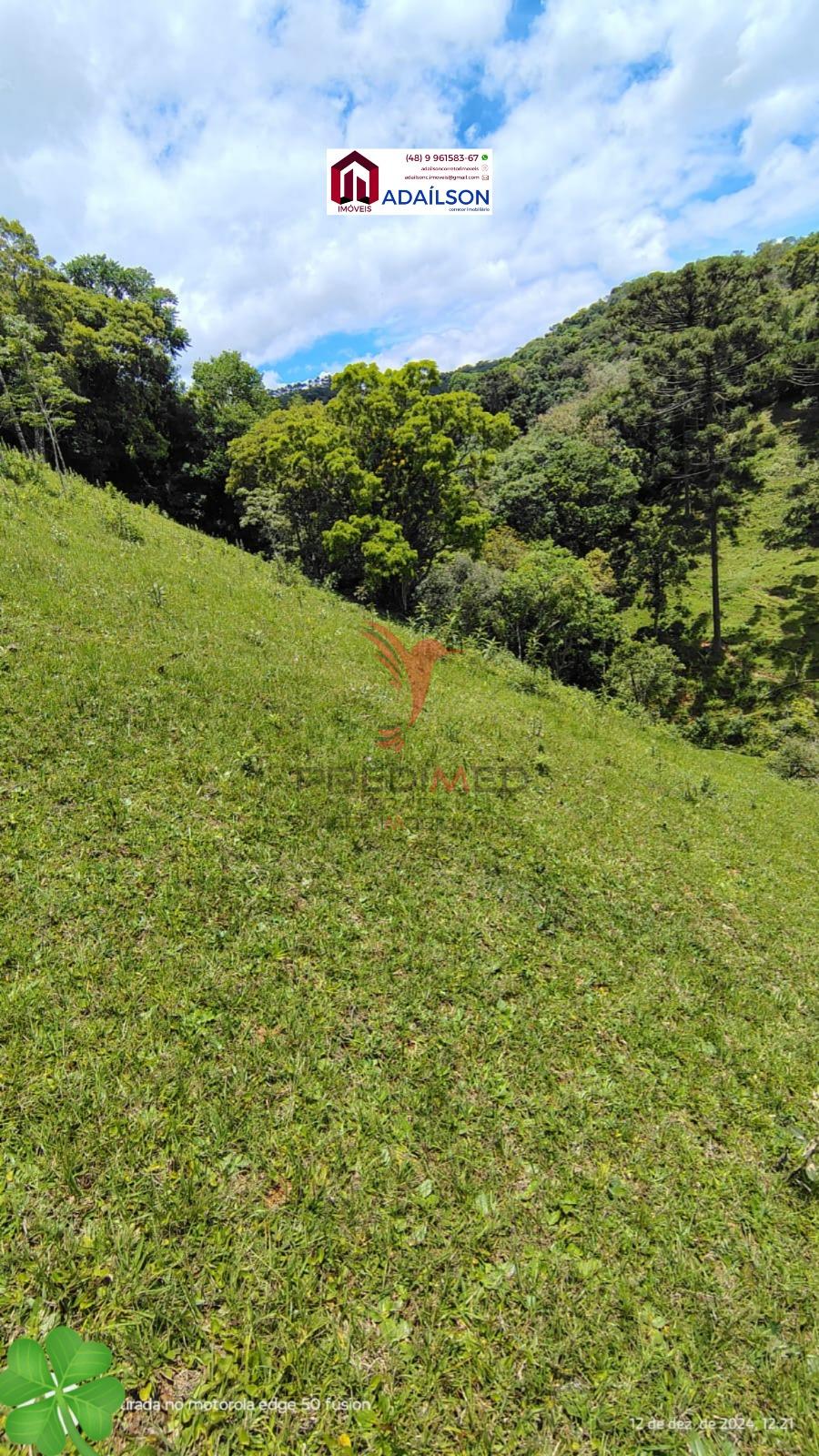 Sítio, 4 quartos, 7 hectares - Foto 10