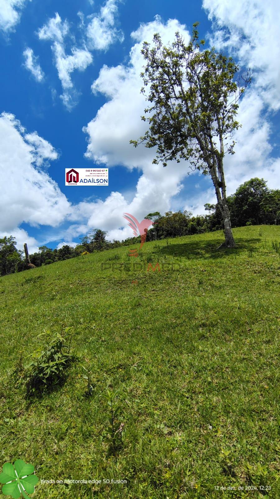 Sítio, 4 quartos, 7 hectares - Foto 16