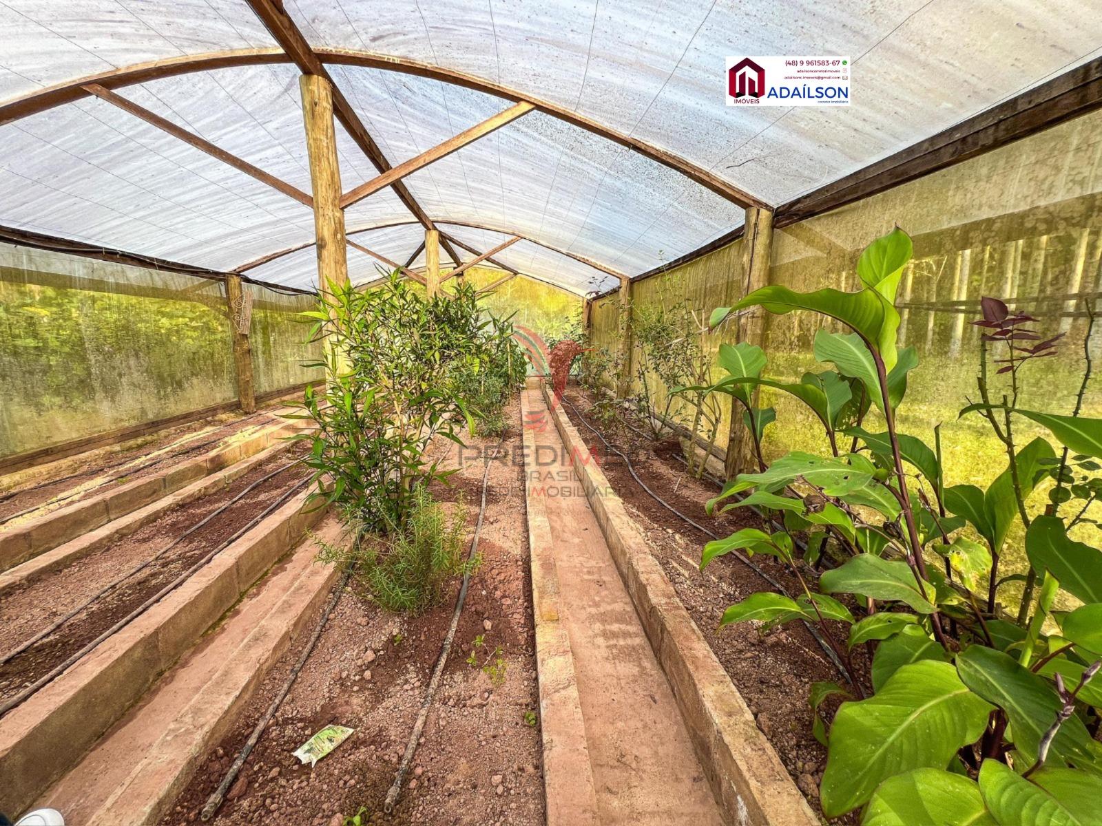 Chácara, 2 quartos, 6000 m² - Foto 9