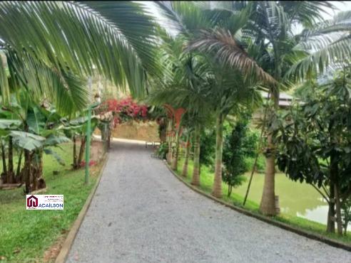 Chácara, 2 quartos, 1400 m² - Foto 8