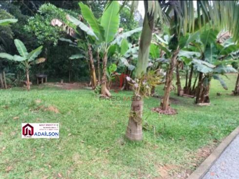 Chácara, 2 quartos, 1400 m² - Foto 16