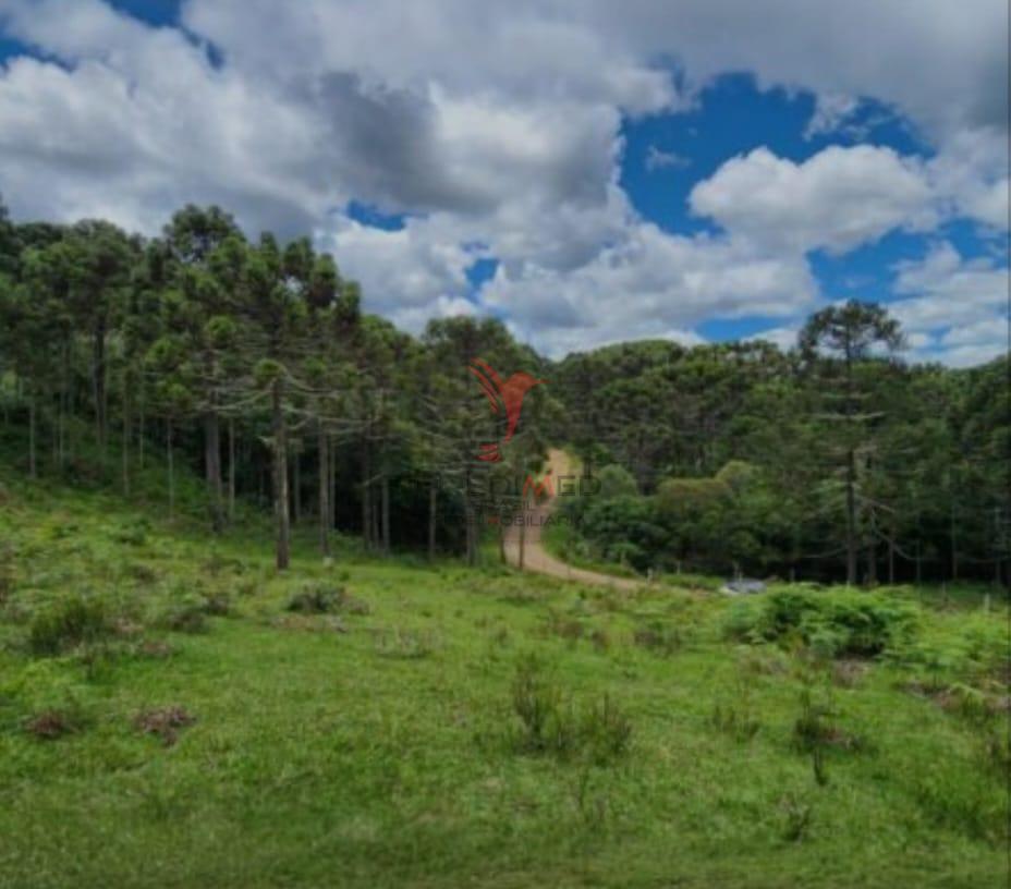 Terreno, 8 hectares - Foto 2