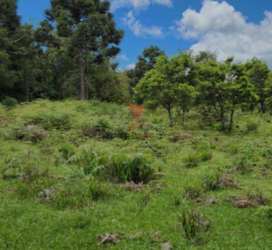 Terreno, 8 hectares - Foto 8