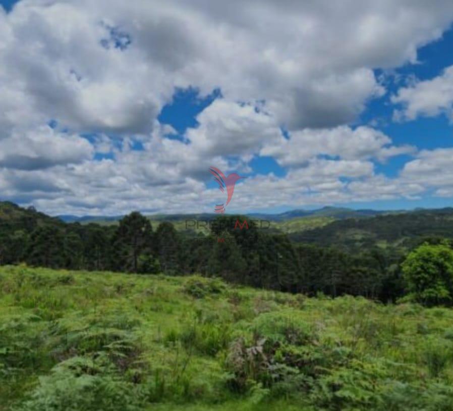 Terreno, 8 hectares - Foto 1