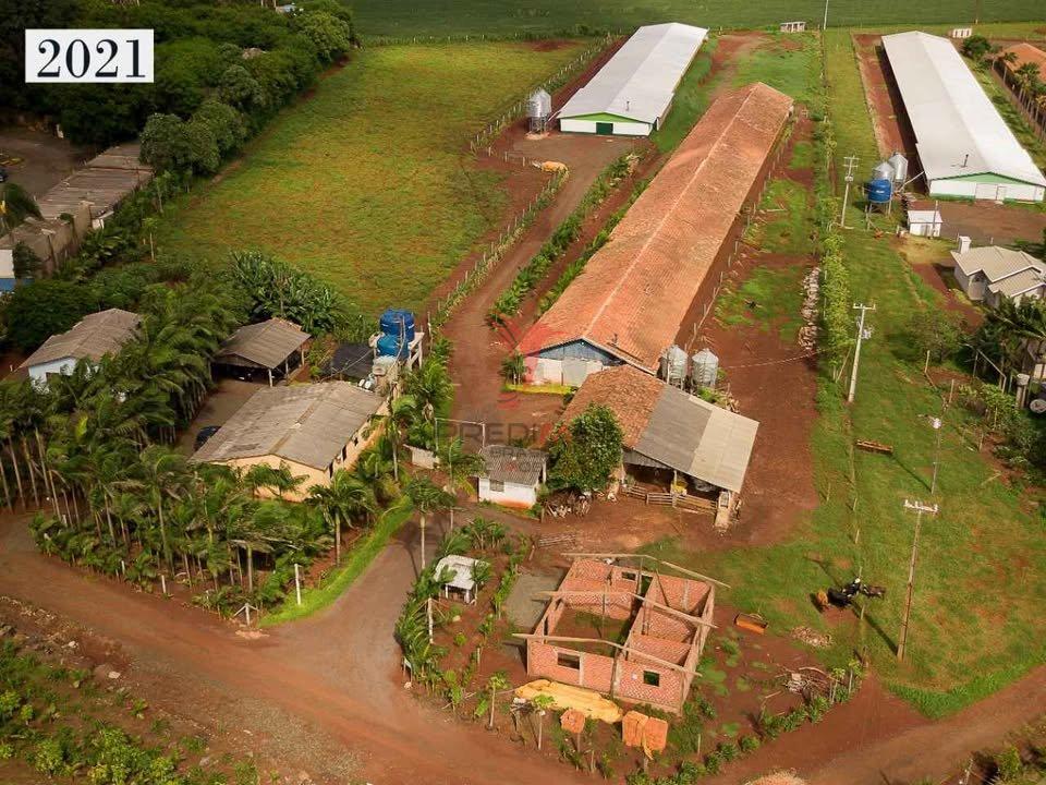 Aviário em São Miguel do Iguaçu - Centro - São Miguel do Iguaçu/PR - São Miguel do Iguaçu - 
