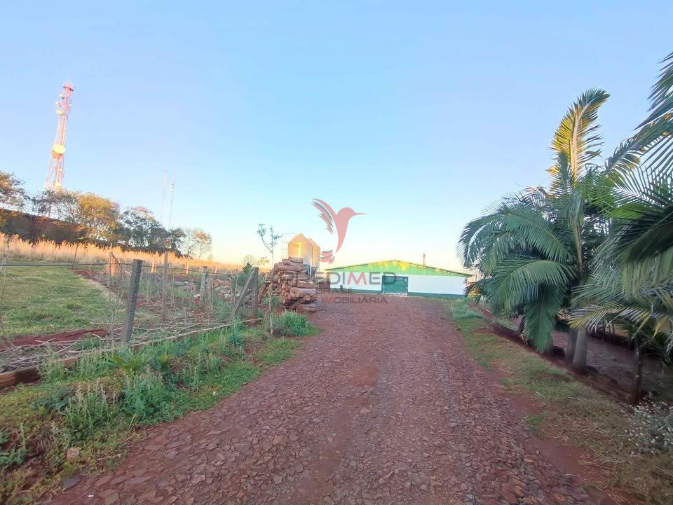 Aviário em São Miguel do Iguaçu - Centro - São Miguel do Iguaçu/PR - São Miguel do Iguaçu - 