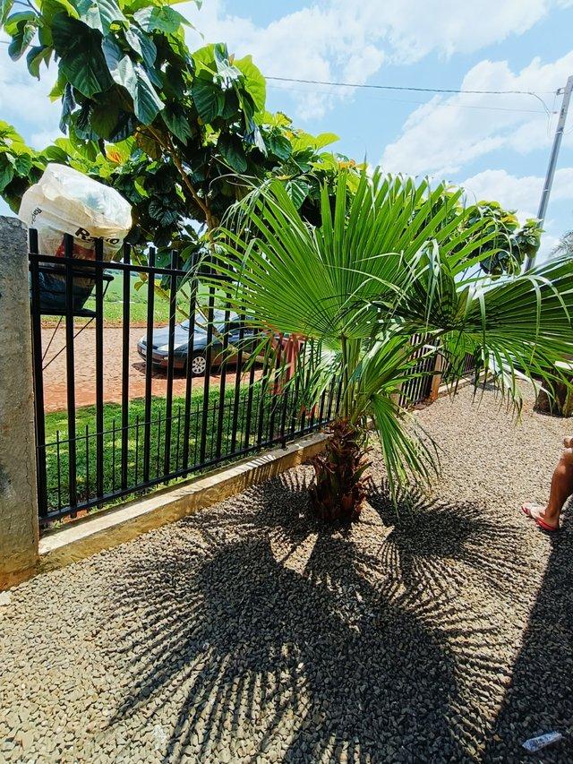 Casa de Vila em São Miguel do Iguaçu - Centro - São Miguel do Iguaçu/PR - São Miguel do Iguaçu - 
