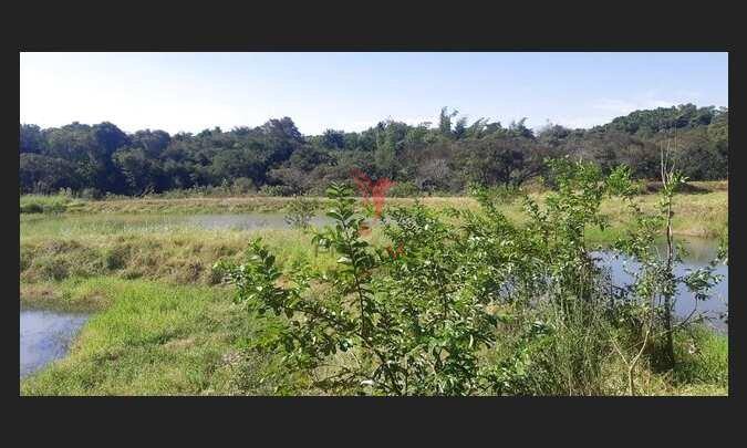 Chácara 6 Alqueires Escriturados Próximo a São Miguel do Iguaçu/PR! - São Miguel do Iguaçu - 