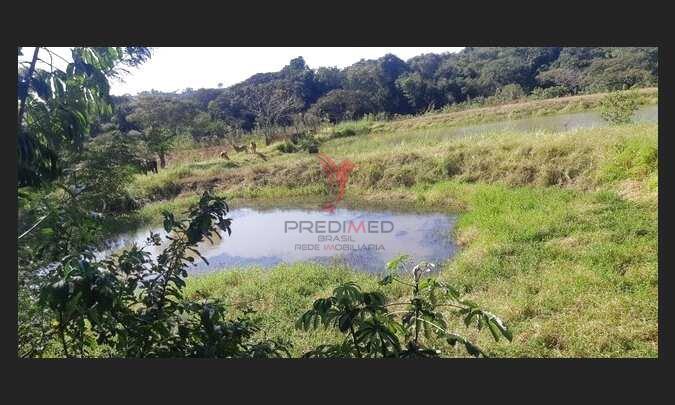 Chácara 6 Alqueires Escriturados Próximo a São Miguel do Iguaçu/PR! - São Miguel do Iguaçu - 