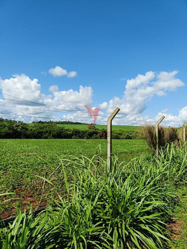 Chácara 30.000m² em São Miguel do Iguaçu/PR! - São Miguel do Iguaçu - 