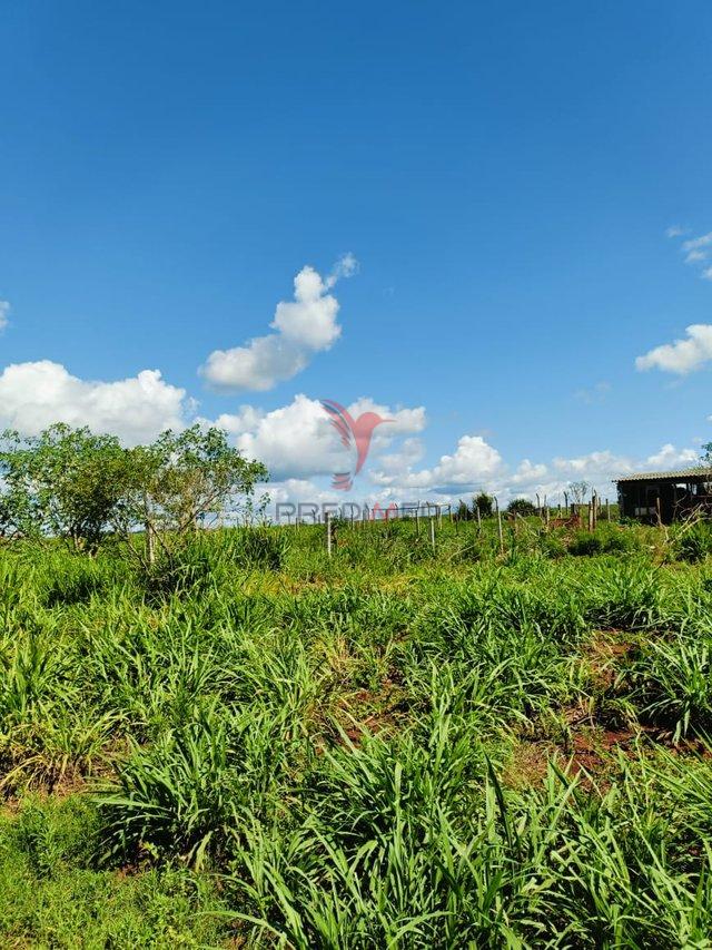 Chácara 30.000m² em São Miguel do Iguaçu/PR! - São Miguel do Iguaçu - 