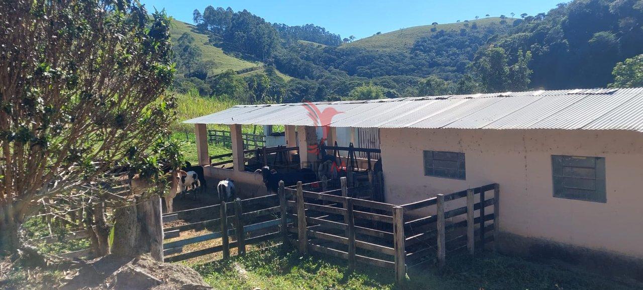 Chácara com quase 5 Alqueires, Pastagem, dois lagos, capela,no bairro Rio do Peixe - Guaratinguetá - 