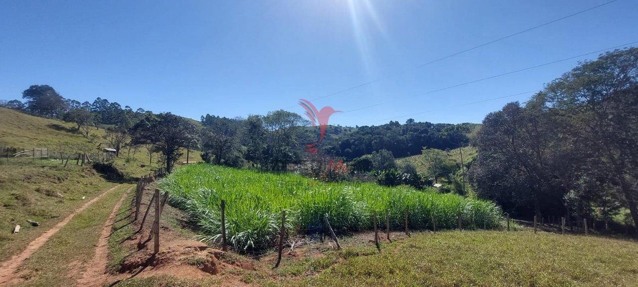 Chácara com quase 5 Alqueires, Pastagem, dois lagos, capela,no bairro Rio do Peixe - Guaratinguetá - 