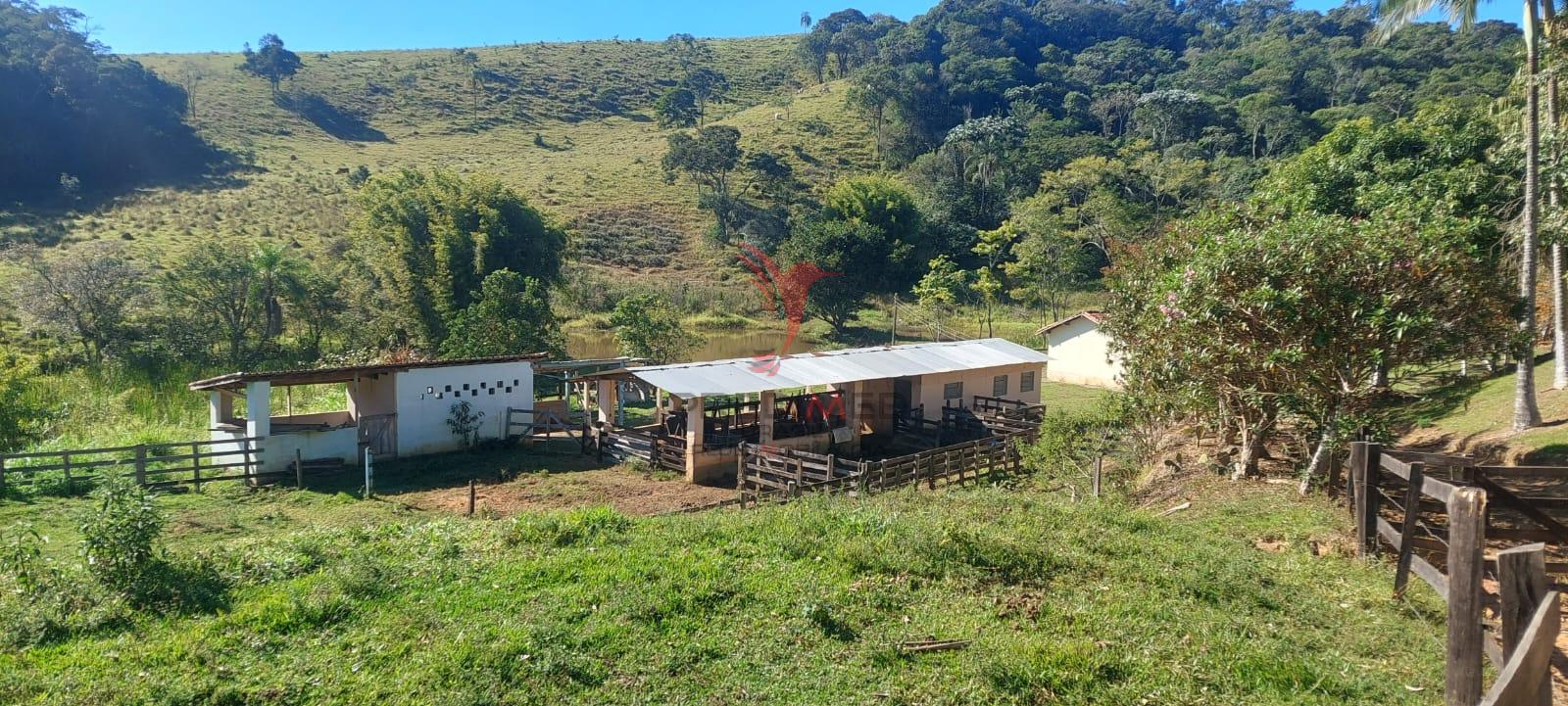 Chácara, 4 quartos, 250 m² - Foto 4