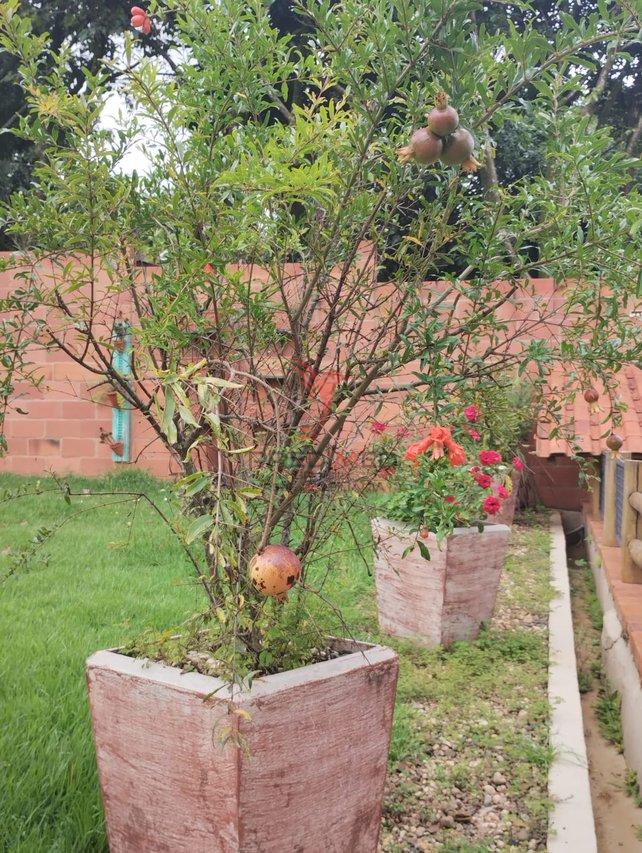 Chácara Rústica dos Sonhos – Natureza, Conforto e Praticidade Urbana em um Só Lugar! - Piracicaba - 